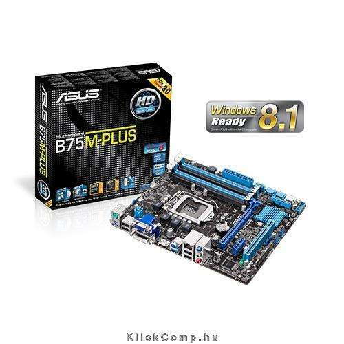 Eladó Már csak volt!!! ASUS B75M-PLUS alaplap - olcsó, Új Eladó Már csak volt!!! - Miskolc ( Borsod-Abaúj-Zemplén ) fotó