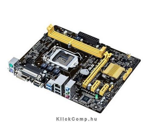 Eladó Már csak volt!!! ASUS H81M-D PLUS alaplap - olcsó, Új Eladó Már csak volt!!! - Miskolc ( Borsod-Abaúj-Zemplén ) fotó