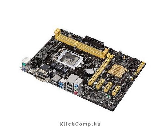 Eladó Már csak volt!!! ASUS H81M-PLUS alaplap - olcsó, Új Eladó Már csak volt!!! - Miskolc ( Borsod-Abaúj-Zemplén ) fotó