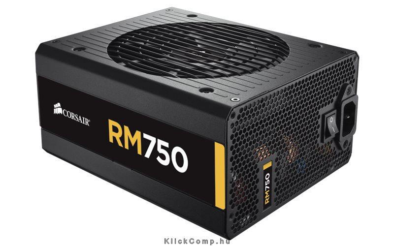 Eladó Már csak volt!!! RM 750W, FULL Moduláris tápegység 80 Plus Gold - olcsó, Új Eladó Már csak volt!!! - Miskolc ( Borsod-Abaúj-Zemplén ) fotó