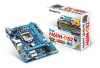 Eladó Már csak volt!!! MB Gigabyte H61M-DS2 mATX skt1155 alaplap (H61, 2xDDR3) 3 év - olcsó, Új Eladó Már csak volt!!! - Miskolc ( Borsod-Abaúj-Zemplén ) fotó 2