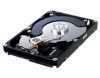 Eladó Már csak volt!!! Samsung F3 HDD 1TB SATA 300 7200RPM 32MB PUFFER ( Szervizben 3 év ) - olcsó, Új Eladó Már csak volt!!! - Miskolc ( Borsod-Abaúj-Zemplén ) fotó 1