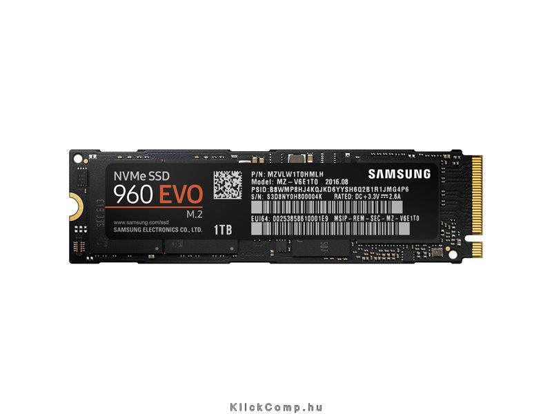 Eladó Már csak volt!!! 1TB SSD M.2 SATA Samsung EVO MZ-V6E1T0BW 960 Series - olcsó, Új Eladó Már csak volt!!! - Miskolc ( Borsod-Abaúj-Zemplén ) fotó