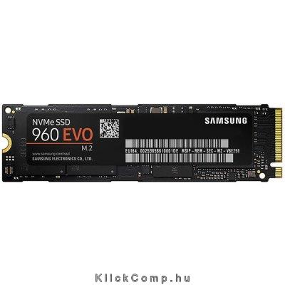Eladó Már csak volt!!! 250GB SSD M.2 SATA Samsung EVO MZ-V6E250BW, 960 Series - olcsó, Új Eladó Már csak volt!!! - Miskolc ( Borsod-Abaúj-Zemplén ) fotó