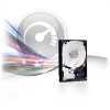 Eladó Már csak volt!!! Western Digital 3,5" 2000GB belső SATAIII 7200RPM 64MB Black Caviar WD2002FAEX w - olcsó, Új Eladó Már csak volt!!! - Miskolc ( Borsod-Abaúj-Zemplén ) fotó 2