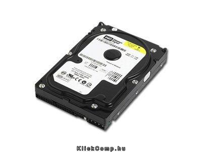 Eladó Már csak volt!!! Western Digital WD3200AAJB 320GB 3,5" Desktop 7200rpm, 8 MB puffer, ATA-133 - olcsó, Új Eladó Már csak volt!!! - Miskolc ( Borsod-Abaúj-Zemplén ) fotó