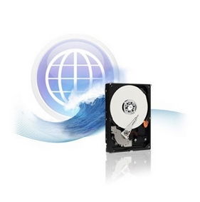Eladó Már csak volt!!! 320GB 2,5" SATAIII HDD Western Digital Blue Scorpion advanced format notebook wi - olcsó, Új Eladó Már csak volt!!! - Miskolc ( Borsod-Abaúj-Zemplén ) fotó