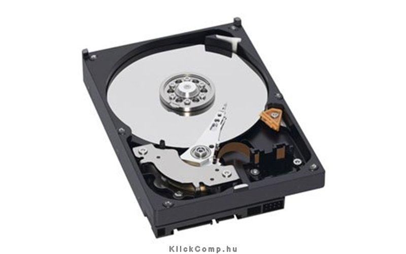 Eladó Már csak volt!!! WD Caviar Blue 500GB HDD SATAIII 16MB 7200rpm 3.5" merevlemez (2 év ga - olcsó, Új Eladó Már csak volt!!! - Miskolc ( Borsod-Abaúj-Zemplén ) fotó