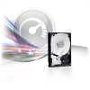 Eladó Már csak volt!!! Western Digital 3,5" 500GB belső SATAIII 7200RPM 32MB Black Caviar WD5002AALX wi - olcsó, Új Eladó Már csak volt!!! - Miskolc ( Borsod-Abaúj-Zemplén ) fotó 1